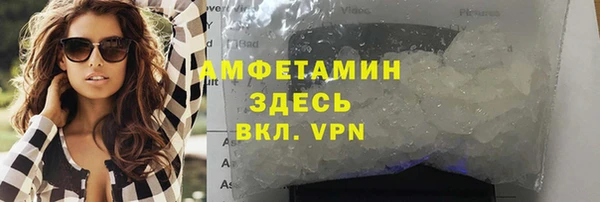 прущие грибы Нефтекумск
