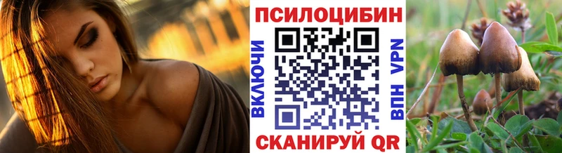 shop телеграм  где можно купить   Петухово  Галлюциногенные грибы мицелий 